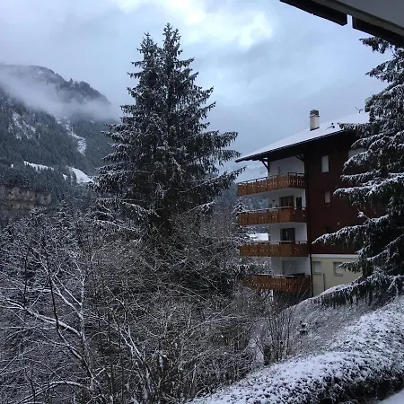 Appartement Bel Air C
